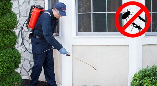 Muratlı Kene İlaçlama böcek ilaçlama ve haşere kontrolü — ilaclama-tr.com